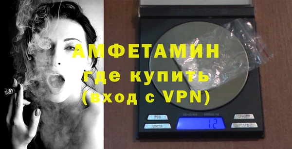 шишки Каменка