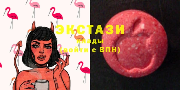 шишки Каменка