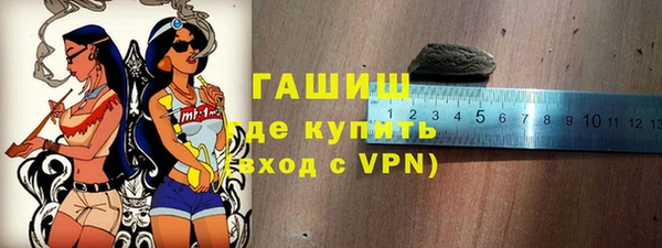 шишки Каменка