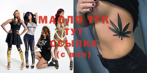 шишки Каменка